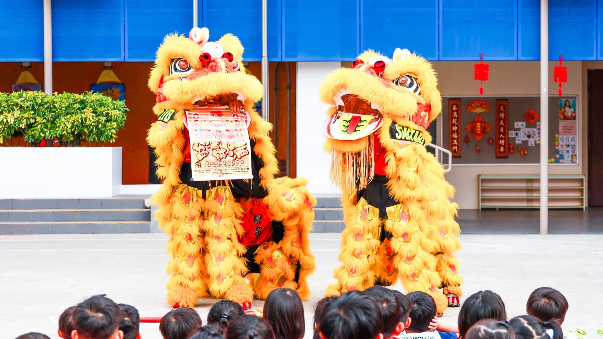 Chinese New Year Celebration